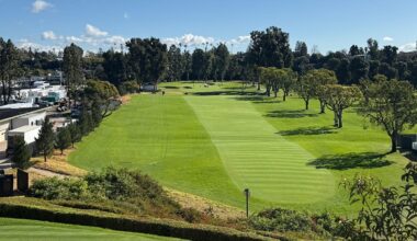 This And That From Riviera