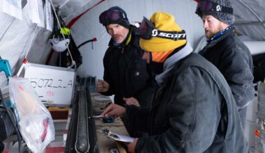 Brighter Side of News