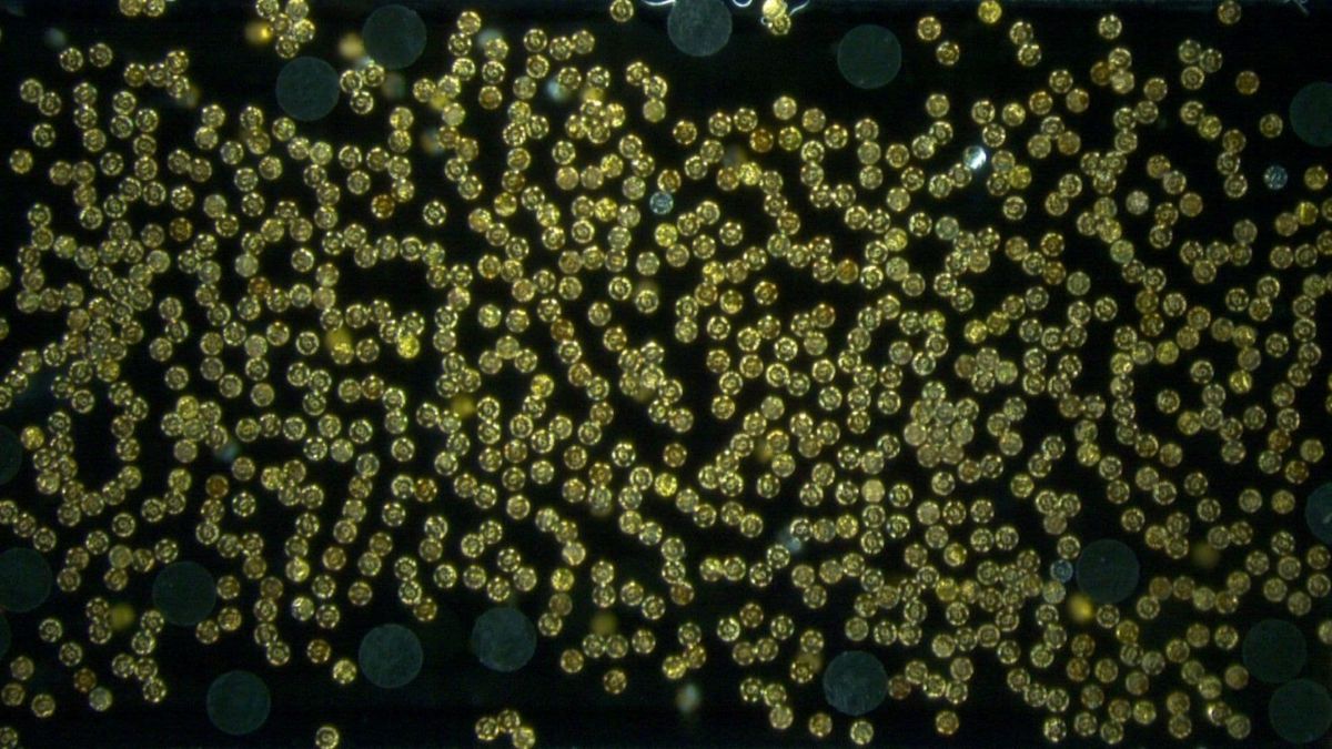 Tiny Robot Swarms Lift Objects 45,000 Times Their Weight