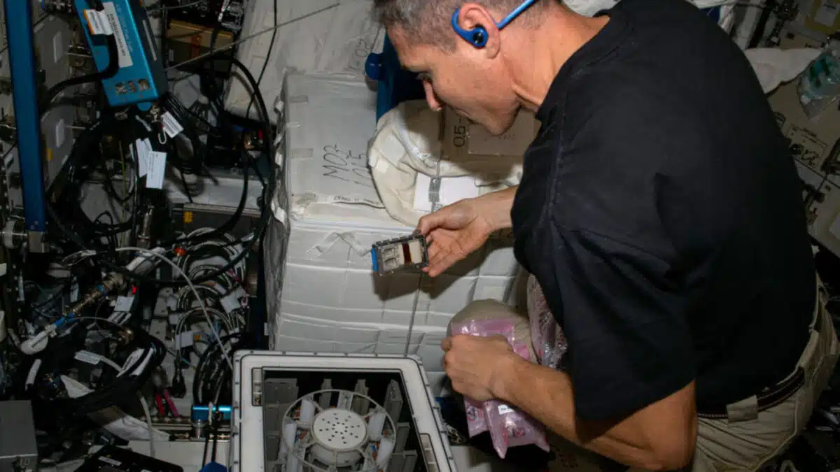 Image 14569 1e Asteroid Biomining