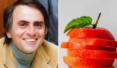 46 years ago, Carl Sagan beautifully explained the fourth dimension using a sliced apple