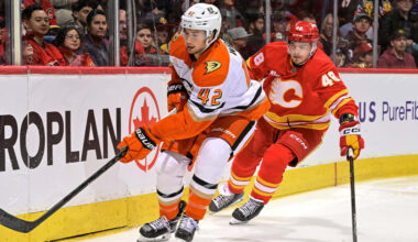 Ducks Reassign Washe to San Diego