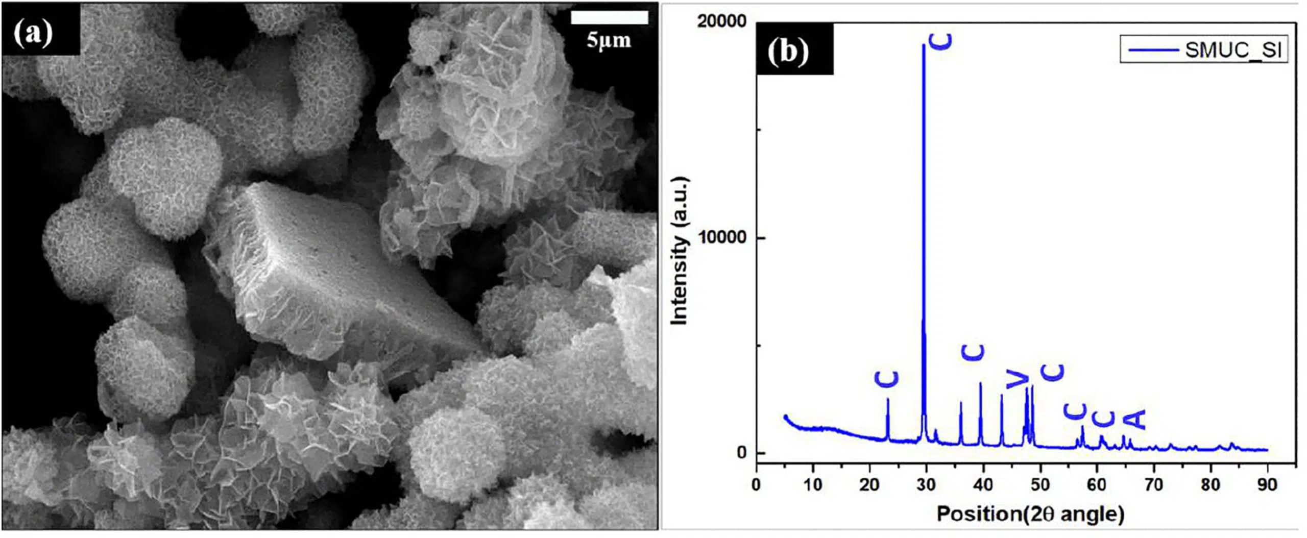 Journal.pone.0340252.g003