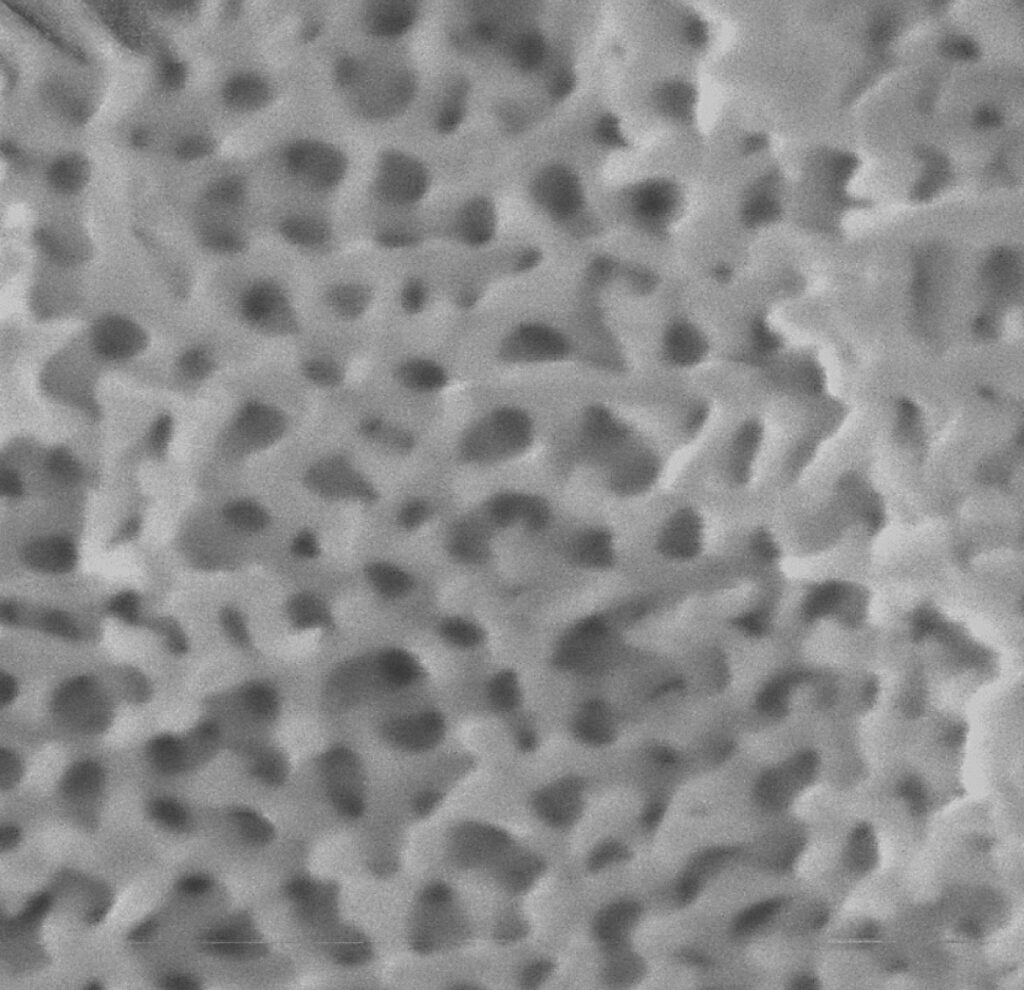 By increasing the magnification of the scanning electron microscopy image, researchers discovered a nanoscale, spongey architecture.