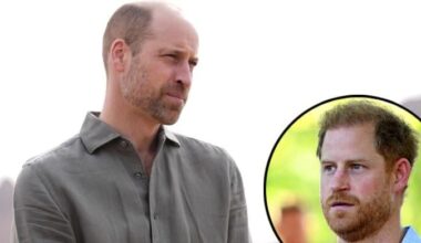 Prince William shocking plans for Harry as he ignores future King's 'consent'