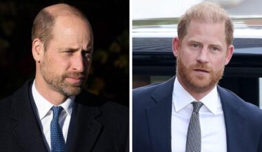 Prince Harry, Prince William physical fight: Surprising truth exposed
