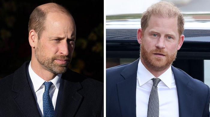 Prince Harry, Prince William physical fight: Surprising truth exposed
