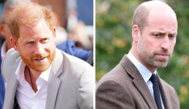 Prince Harry's secret move to reconcile with Prince William laid bare