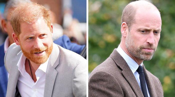 Prince Harry's secret move to reconcile with Prince William laid bare