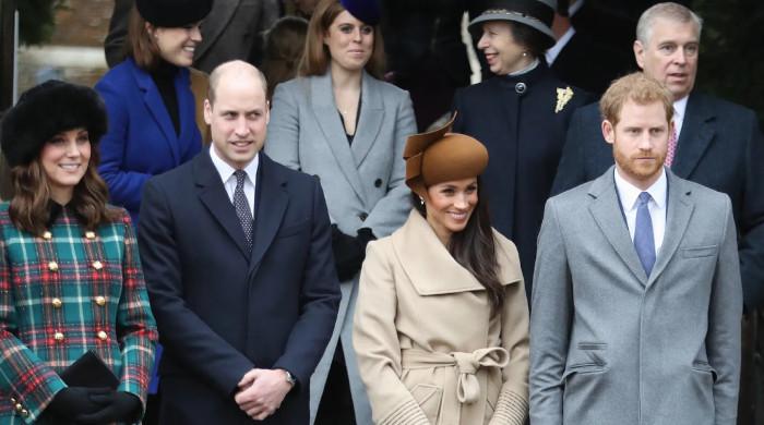 Prince Harry, Meghan's truth comes back to haunt royals amid Andrew fall