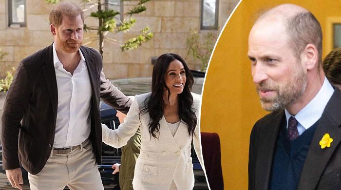 Prince Harry, Meghan's secret move ignites hope for William reunion