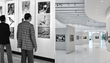 A split image showing two art galleries: the left side is black and white with two people viewing bird photographs on display; the right side is a modern gallery with photographs on white walls and no people present.