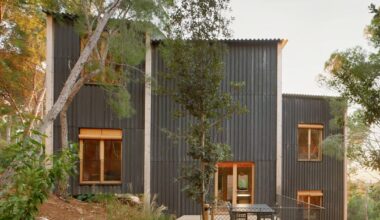 timber house in spain interlaces three raised volumes within tree canopy