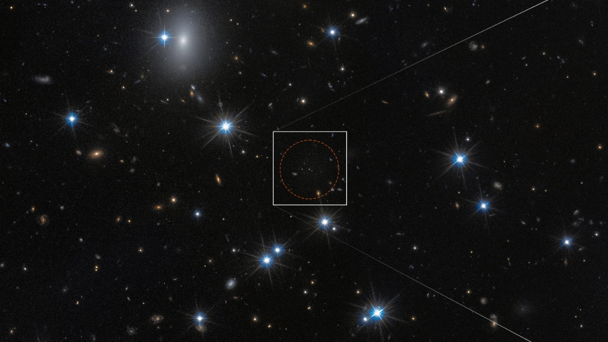 Astronomers Say They've Found Their Strongest Dark Galaxy Candidate Yet : ScienceAlert