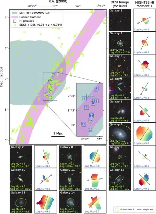 M Staf2005fig2