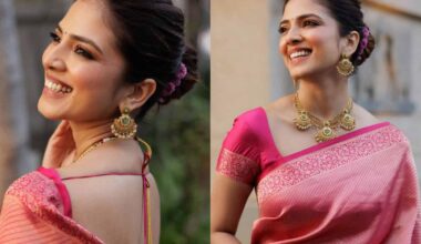 Malavika Shines In Pink Silk