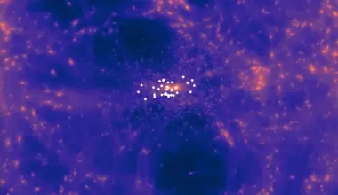 Brighter Side of News