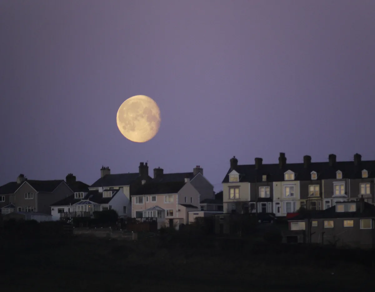 A big, bright Moon close to foreground objects looks massive. This is the Moon illusion. Credit: Christine Rose Photography / Getty Images