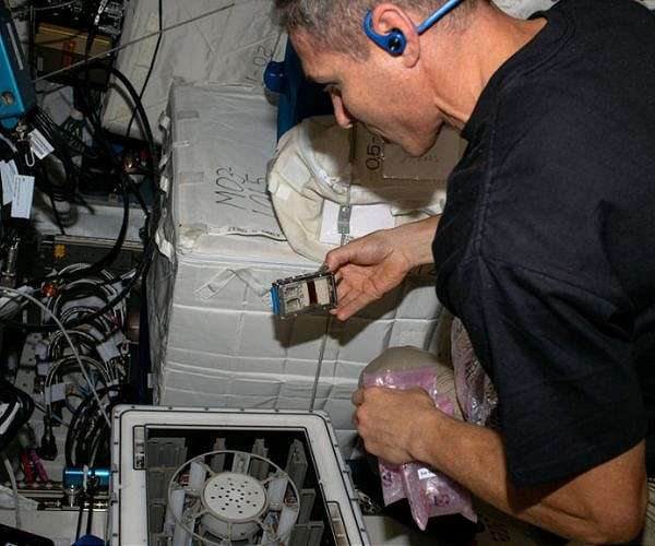 Microbes harvest metals from meteorites aboard space station
