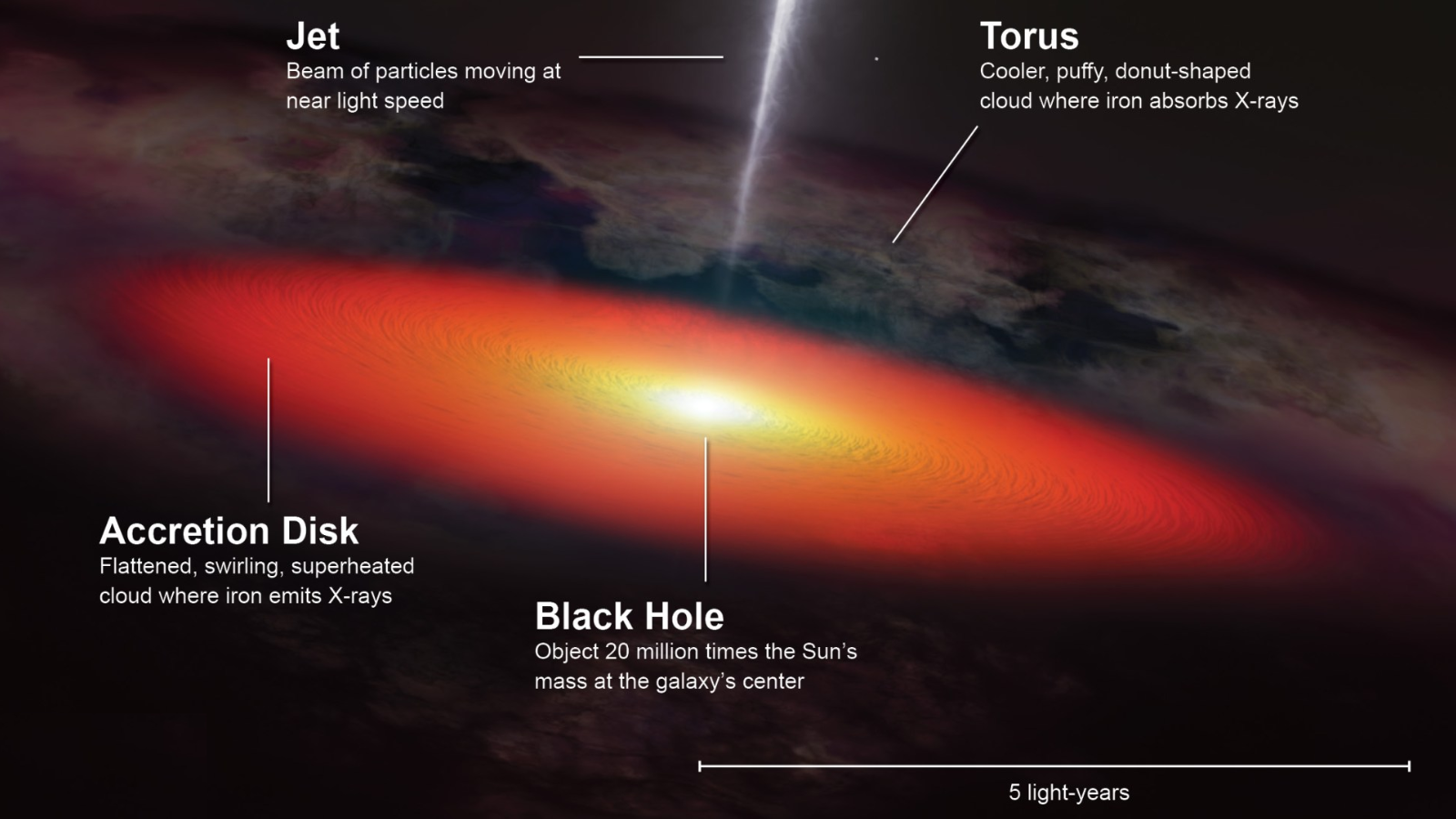 The anatomy of a black hole is pointed out, showing the black hole itself, the accretion disk, the jet and the torus.