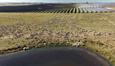 Big solar and batteries lead march to the grid, but new plans for wind are piling up