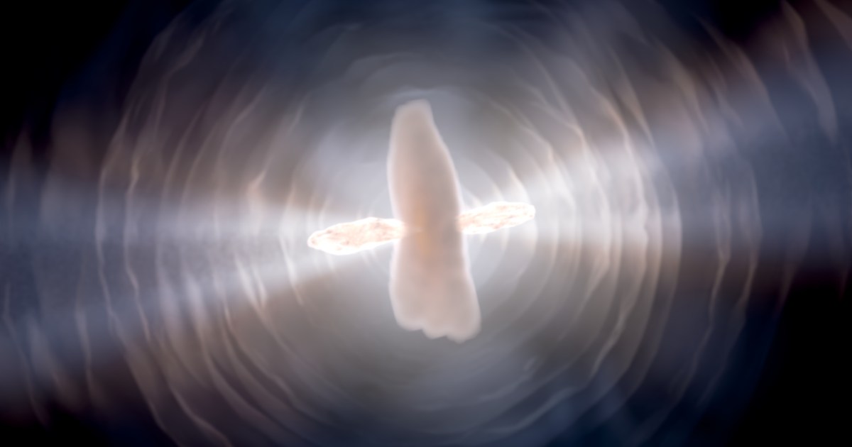 Last gasps of dying Sun-like star captured by Hubble