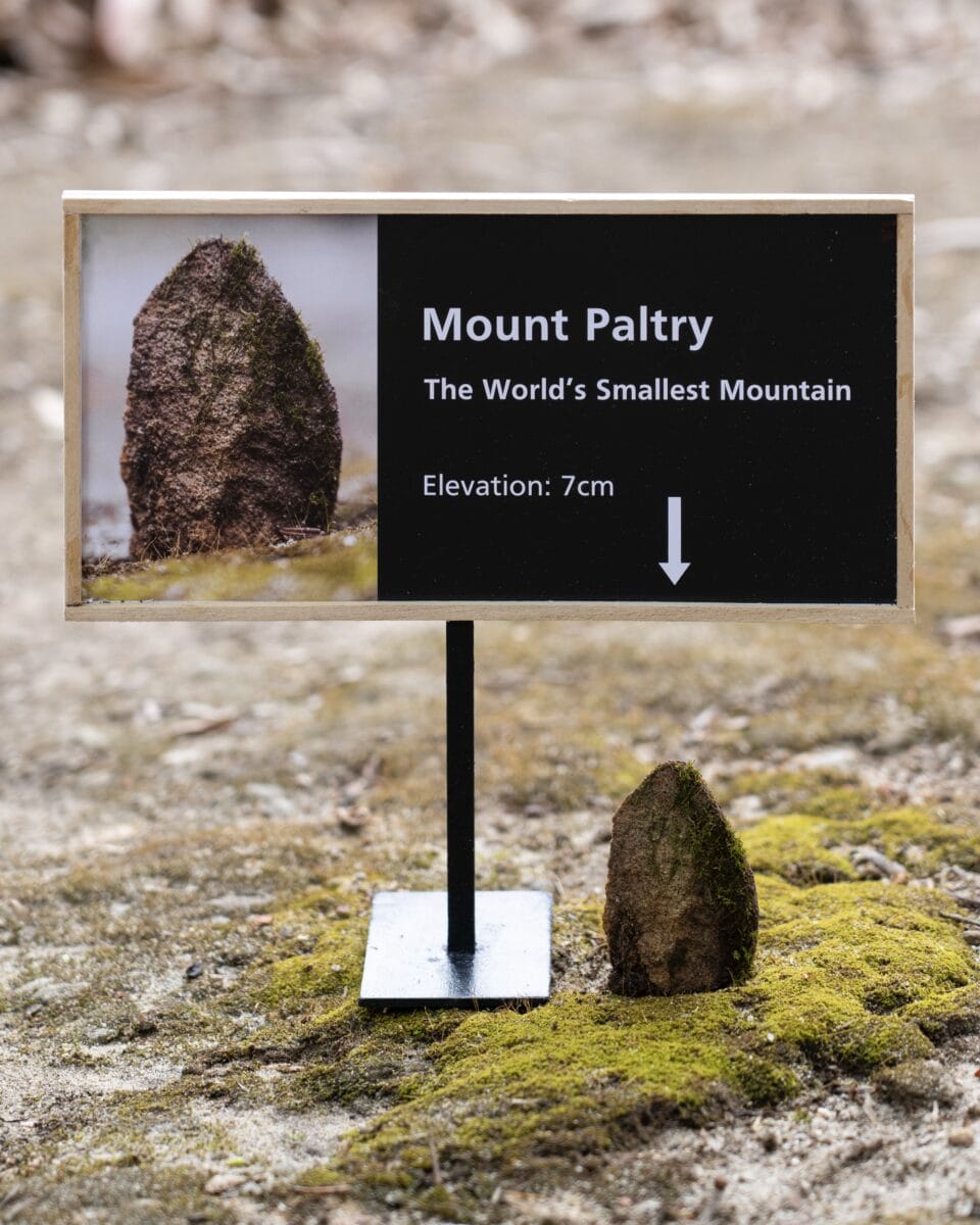 A miniature installation by Michael Pederson of a sign reading "Mount Paltry, The world's smallest mountain" next to a tiny rock