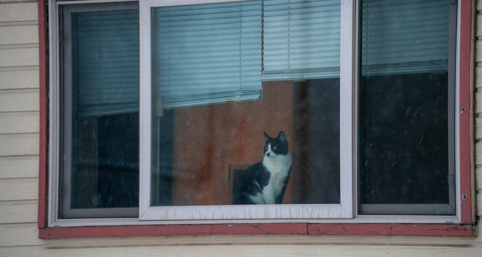 Sunday's FTB: Stay inside!