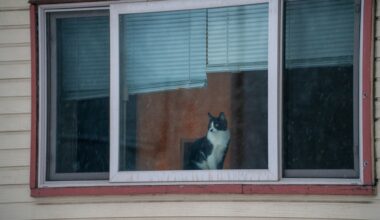 Sunday's FTB: Stay inside!