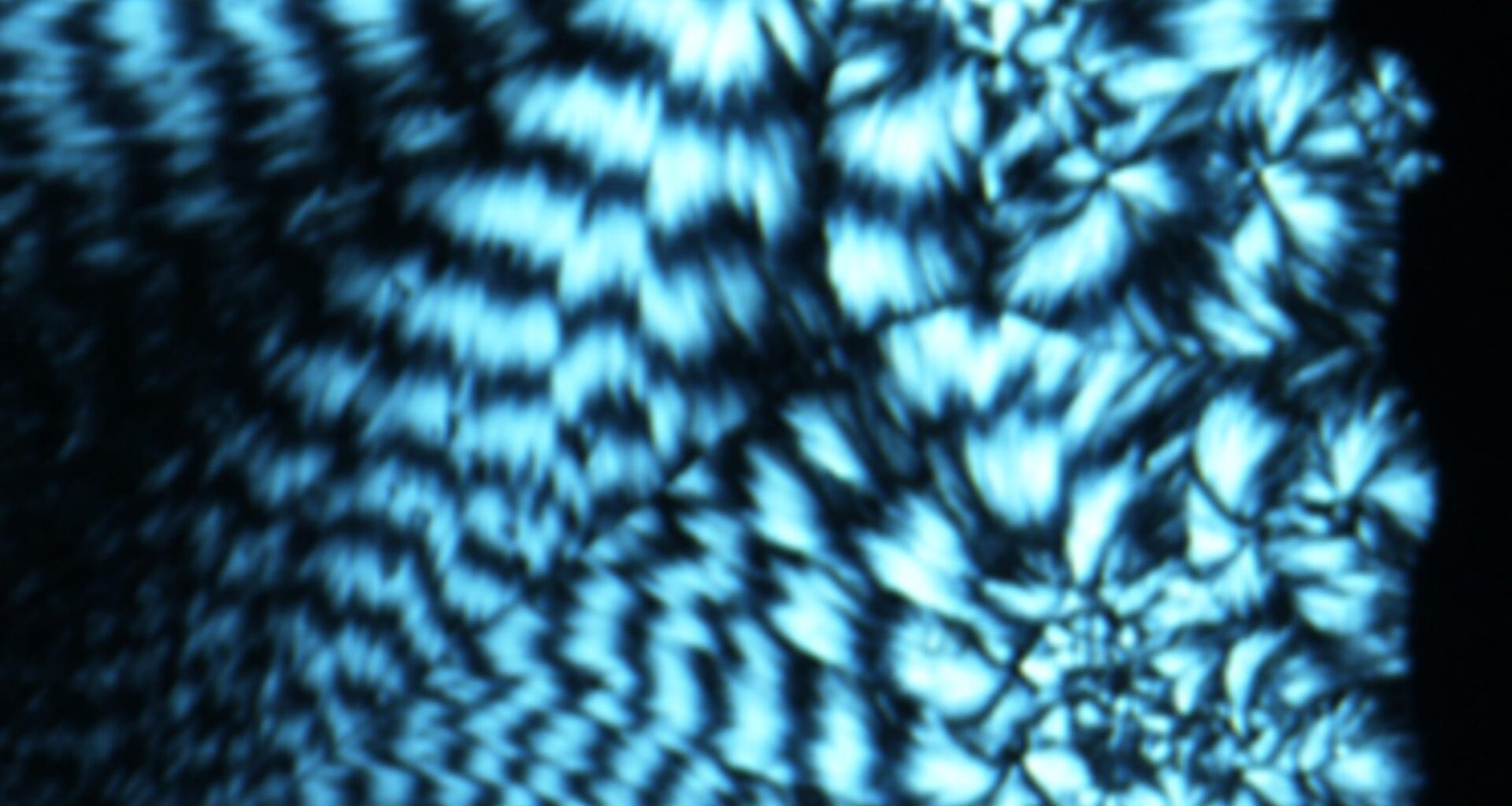 Borrowing From Biology To Power Next-gen Data Storage