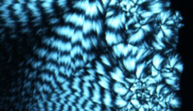 Borrowing From Biology To Power Next-gen Data Storage