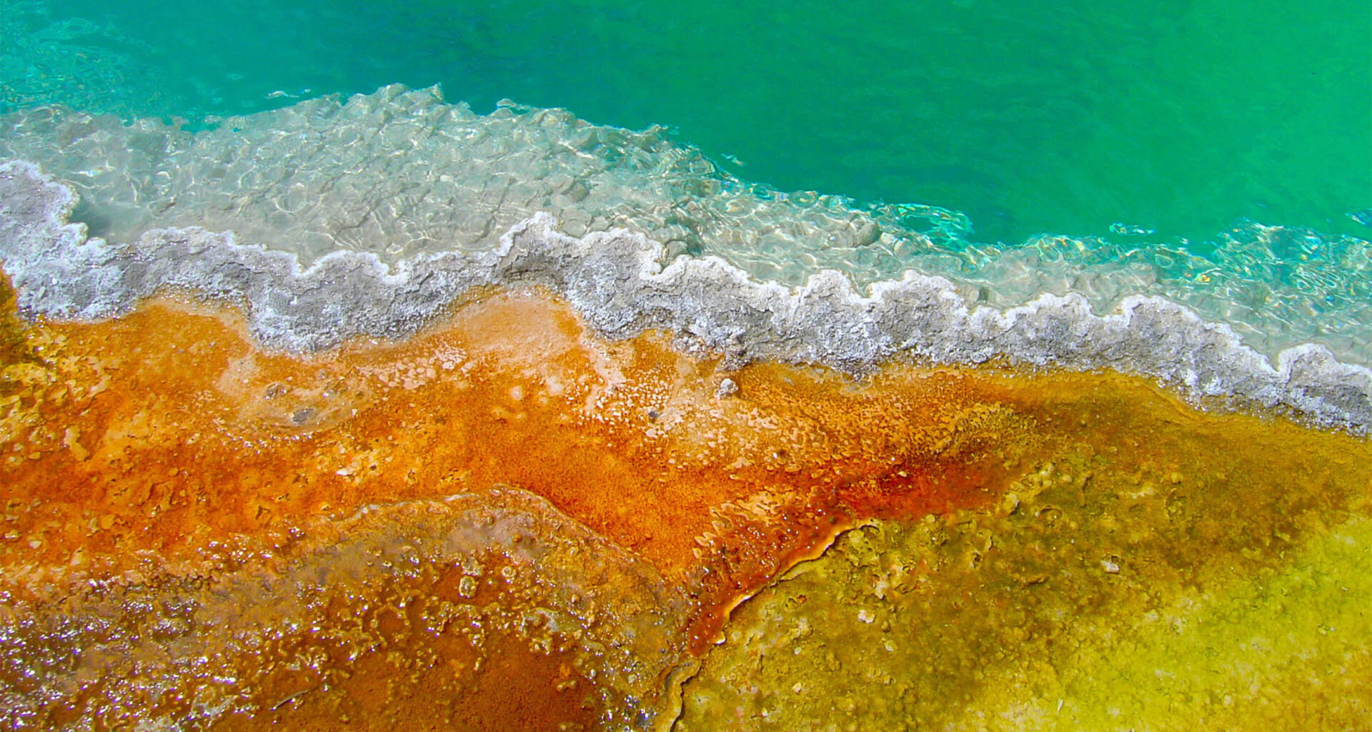 Oxygen-breathing life forms arrived on Earth sooner than believed