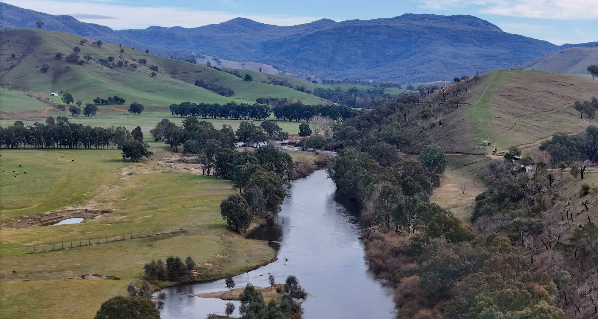 Researchers analyzed over 496,000 frog records to uncover which types of land show the highest frog diversity.