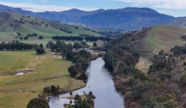 Researchers analyzed over 496,000 frog records to uncover which types of land show the highest frog diversity.