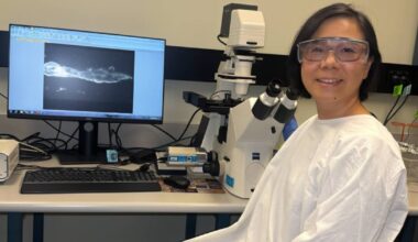 St George & Sutherland Shire Leader