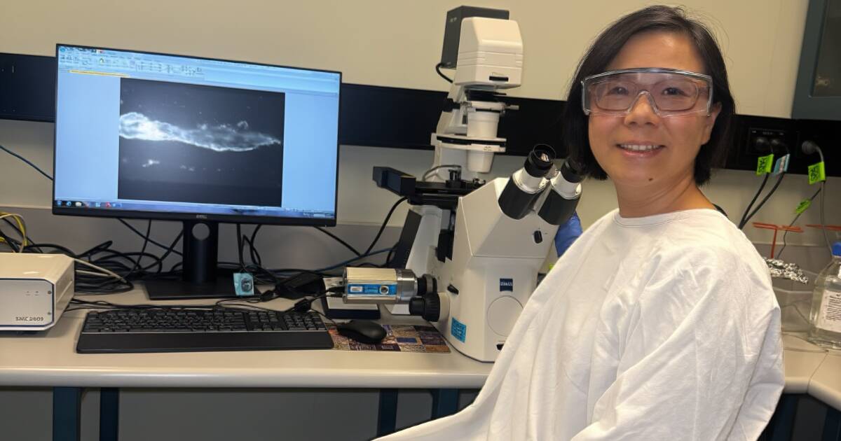 St George & Sutherland Shire Leader