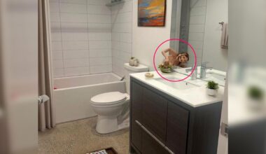 Realtor Uses AI, Accidentally Posts Photo of Rental Property With Demonic Figure Emerging From Mirror