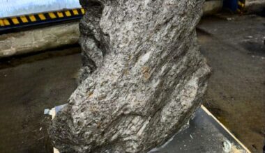 Russian Officials Seize 2.8 Ton Meteorite Worth $4m