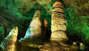 Scientists Investigate 'bright Green' Wall Deep In New Mexico Caves A Hidden World For 49 Million Years
