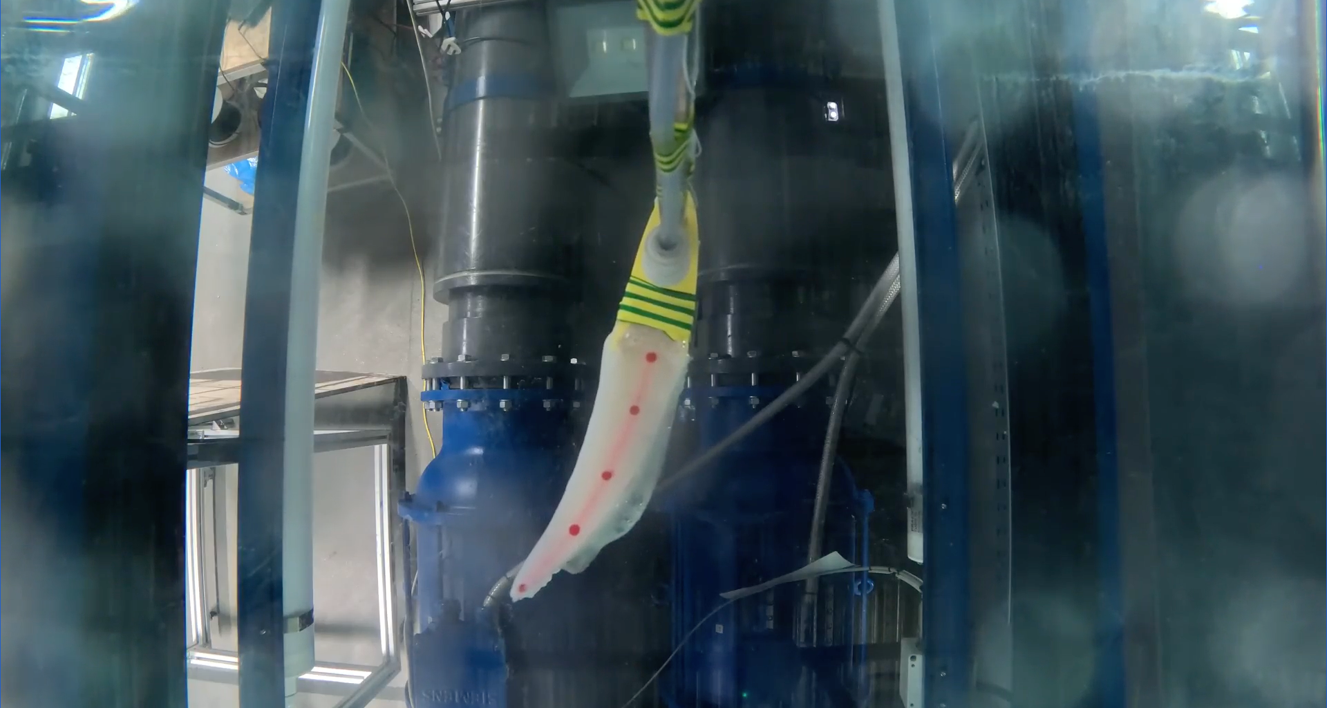 Nature-Inspired Robotic Wing Boosts Underwater Stability