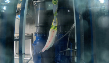 Nature-Inspired Robotic Wing Boosts Underwater Stability