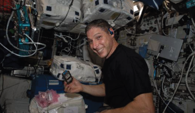 Scientists use microbes on ISS to extract valuable metals from meteorites
