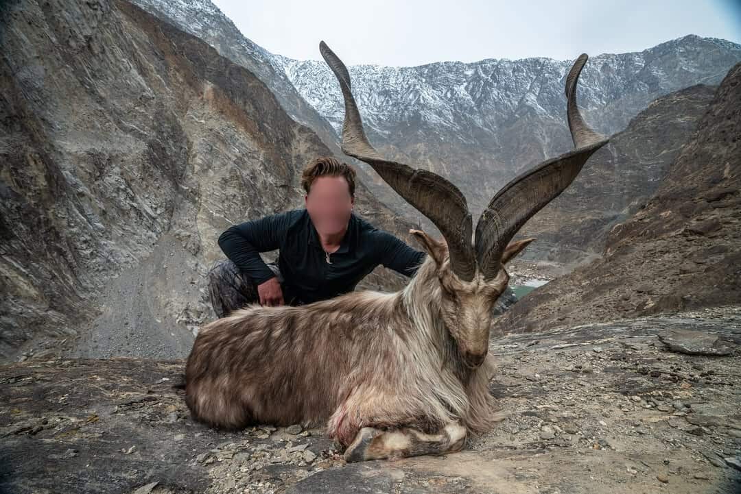 A man in mountainous scenery poses behind a dead kneeling animal with large horns