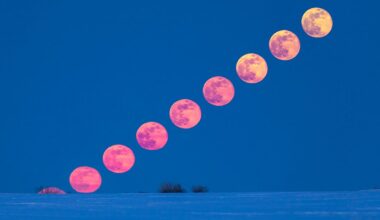 Full Moon rising above a snowy scene, Albert, Canada. Credit: Alan Dyer/Stocktrek Images/Getty