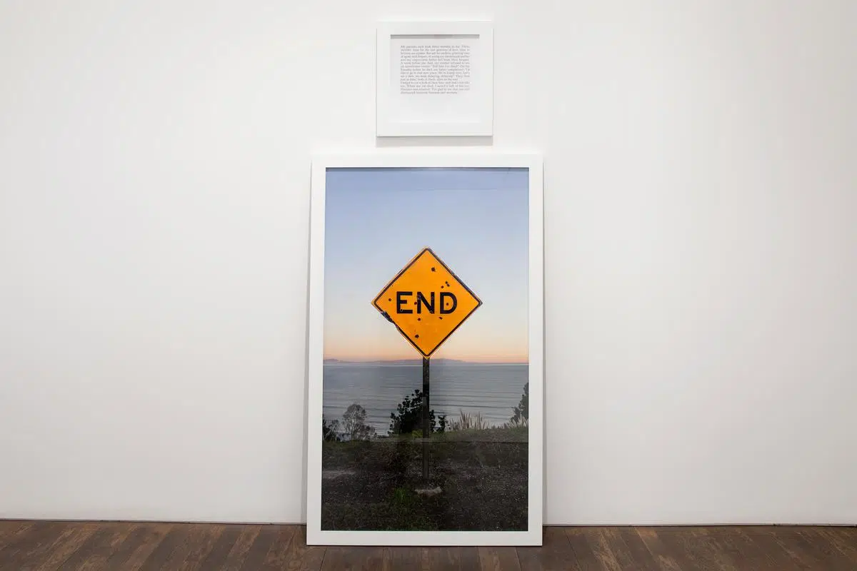 ‘My Mother, My Cat, My Father,’ 2017. Digital photograph, aluminum, text, and wooden frames. (Courtesy of the artist and Perrotin)