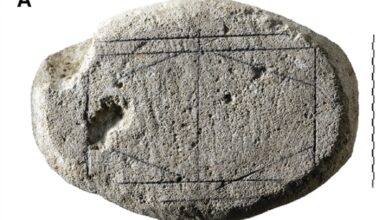 Researchers Decode Ancient Roman Board Game Rules