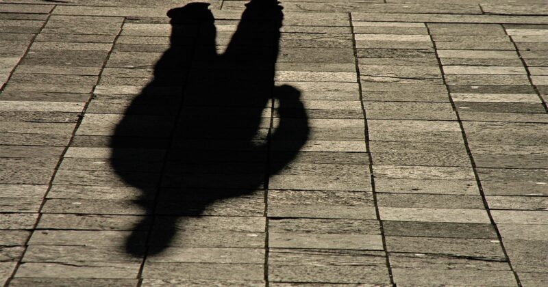A clear shadow of a person standing on a stone-tiled pavement, with sunlight casting the silhouette sharply onto the ground.