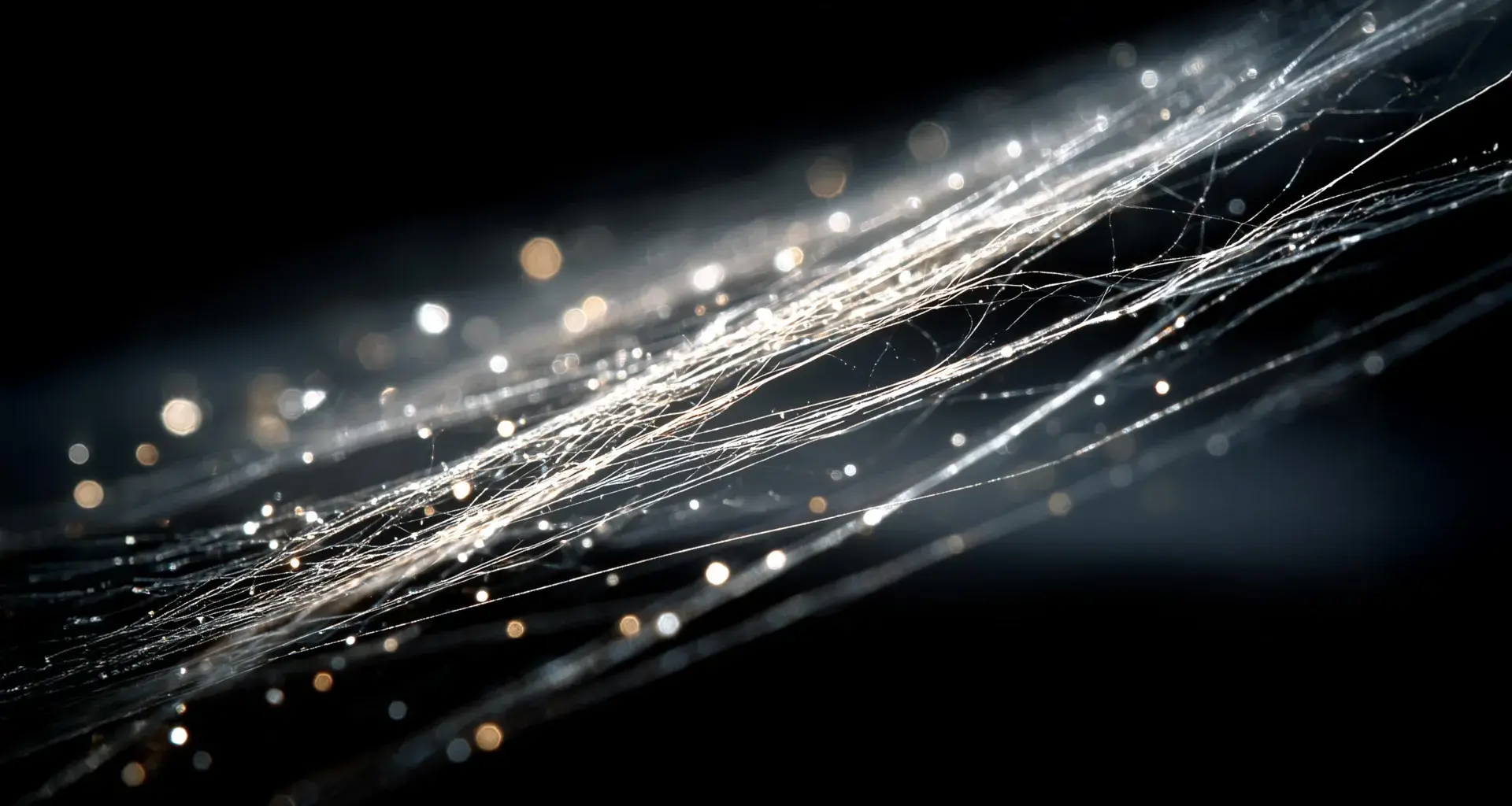 This tiny molecular trick makes spider silk almost unbreakable