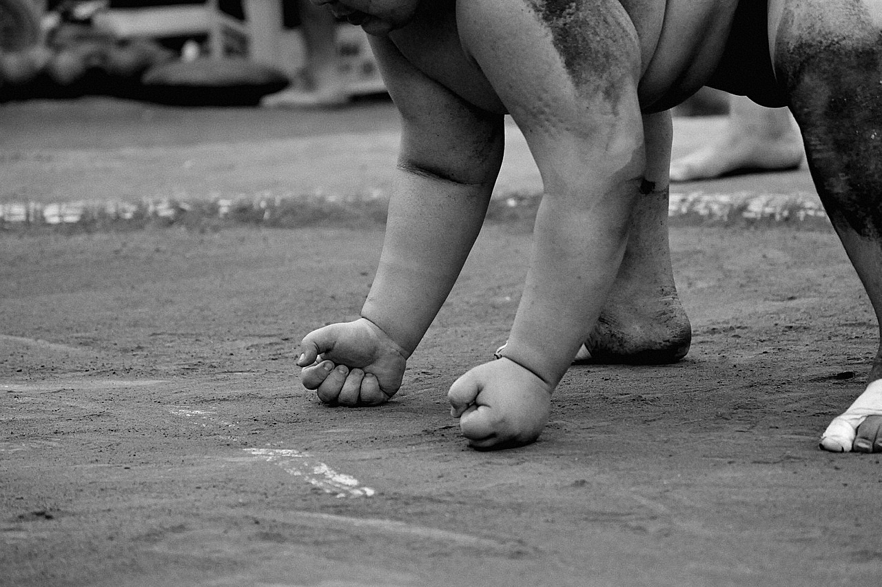 sumo - My MMA News sumo