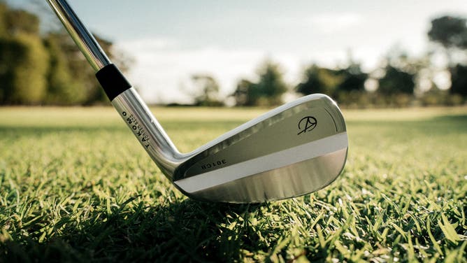 Close-up of a Takomo iron. 